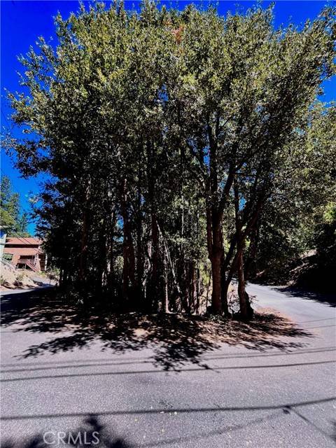 Lake Arrowhead, CA 92352,0 Rock Ridge Way