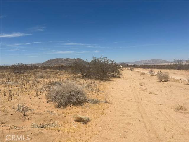 Yucca Valley, CA 92284,0 Kuna