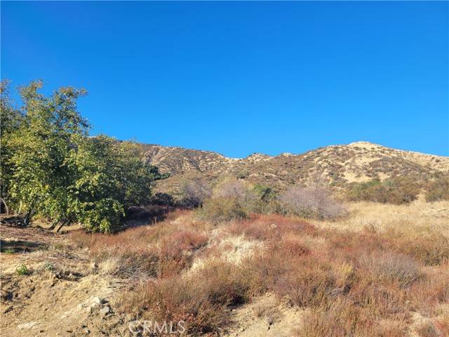 Cherry Valley, CA 92223,0 Lofty