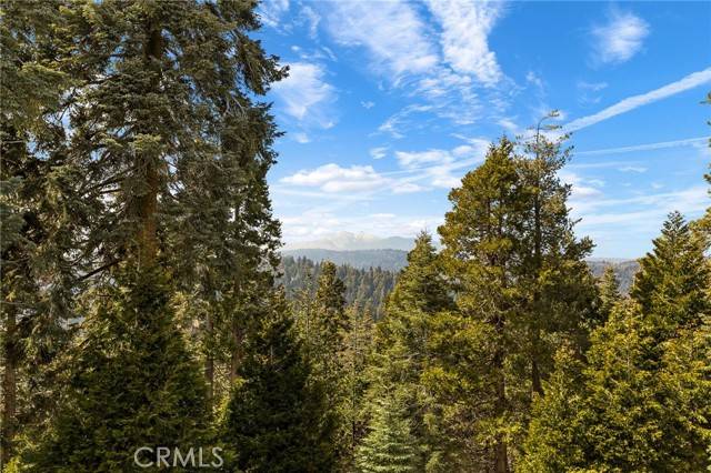 Lake Arrowhead, CA 92352,735 Oak Road