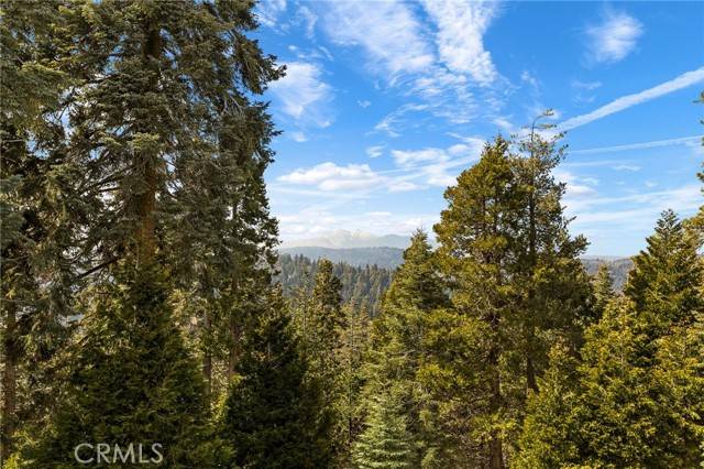 Lake Arrowhead, CA 92352,735 Oak Road