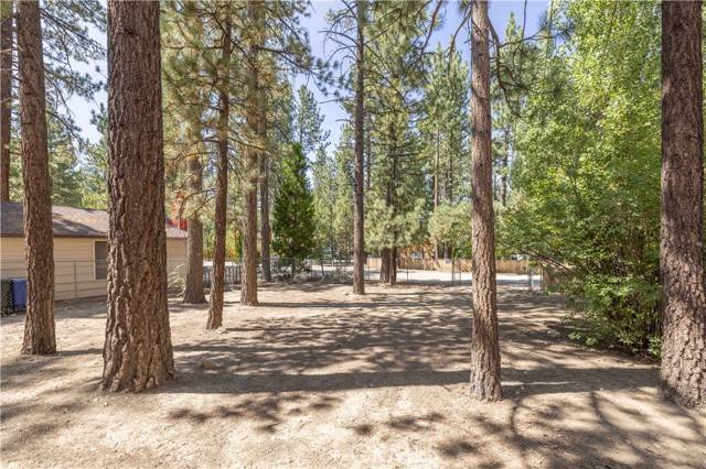 Big Bear City, CA 92314,924 W Rainbow Boulevard