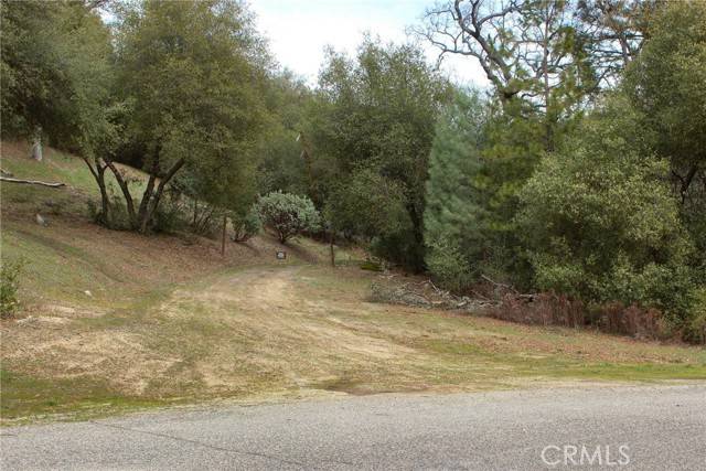 Oakhurst, CA 93644,0 Loch Lomond Ln