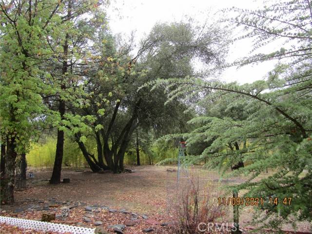 Oakhurst, CA 93644,50063 Road 427