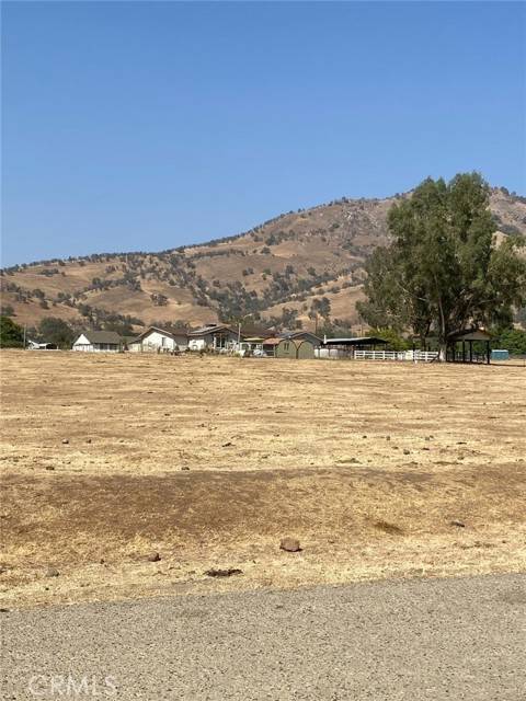 Sanger, CA 93657,0 Live Oak Lot 290