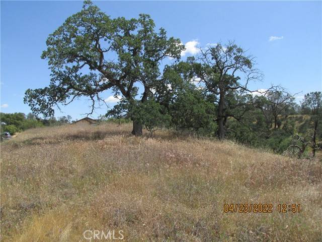 Coarsegold, CA 93614,0 Lilley Mountain