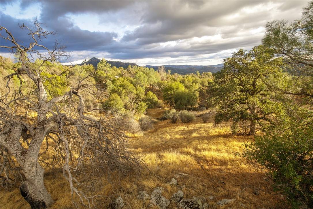 Mariposa, CA 95338,0 Hidden Valley