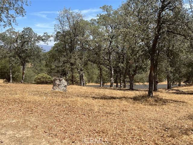 Coarsegold, CA 93645,0 Longview Ln E