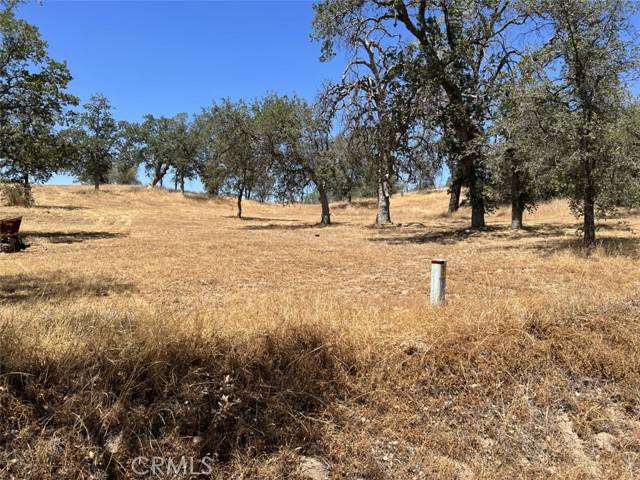 Coarsegold, CA 93645,0 Longview Ln E