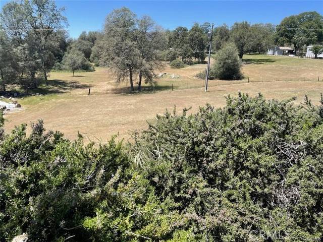 Ahwahnee, CA 93601,42096 Lone Olive Lane