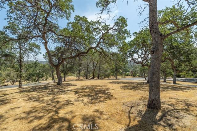 Coarsegold, CA 93614,29638 Jim Bowie Court