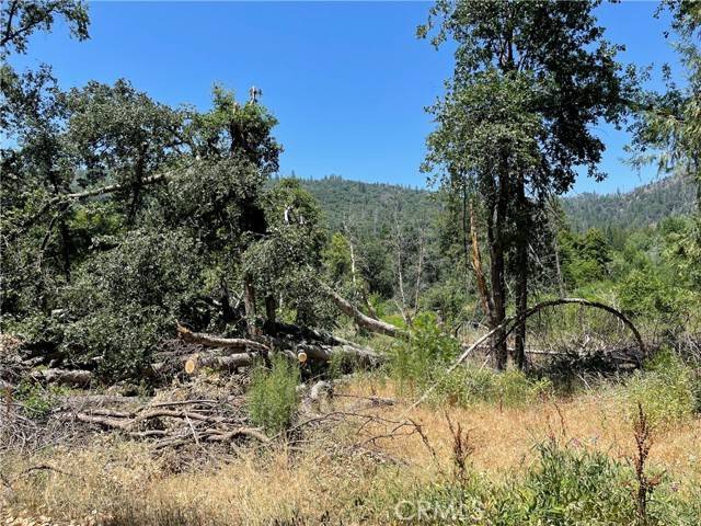 Oakhurst, CA 93644,0 Jackson