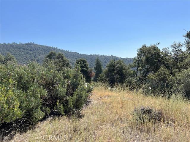 Ahwahnee, CA 93601,0 Road 601