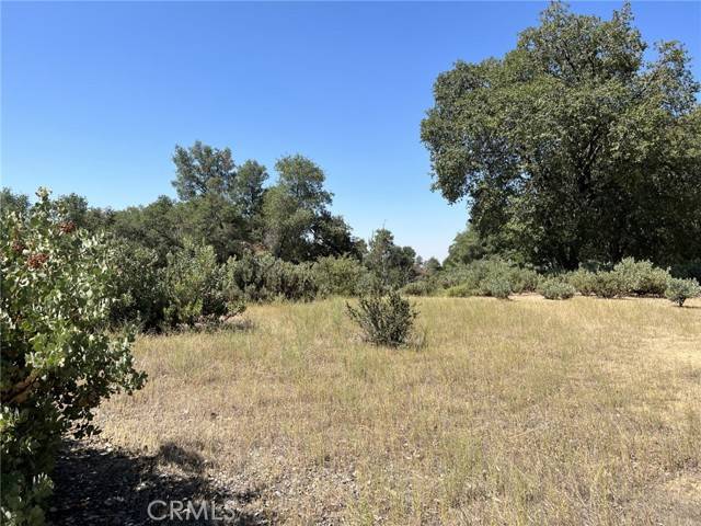 Ahwahnee, CA 93601,0 Road 601