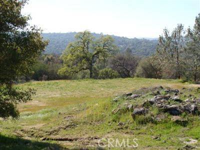 Coarsegold, CA 93614,1861 North Dome