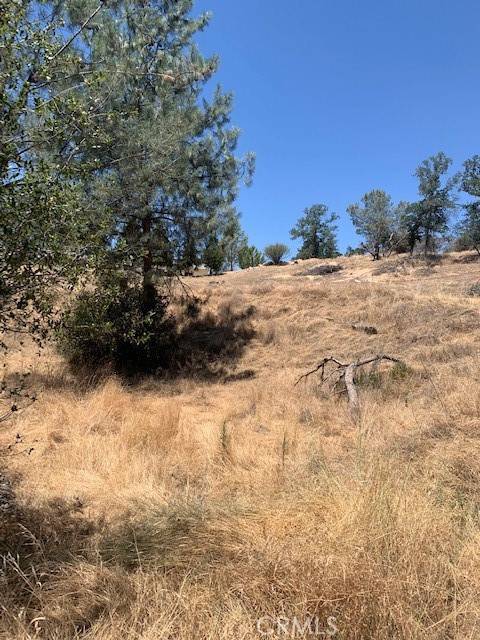 Coarsegold, CA 93614,0 Deer Trail