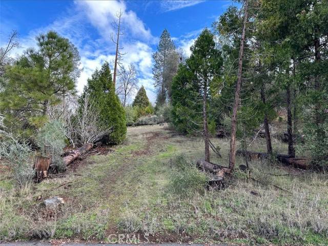 Coarsegold, CA 93614,0 Deer Path