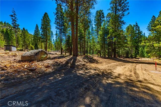 Wawona, CA 95389,0 River