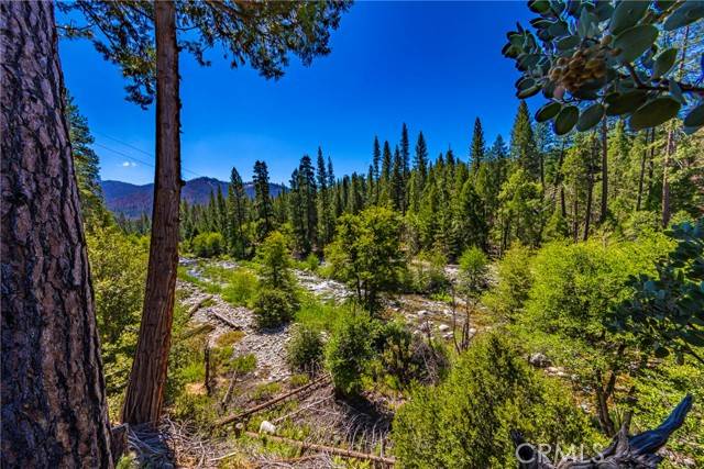 Wawona, CA 95389,0 River