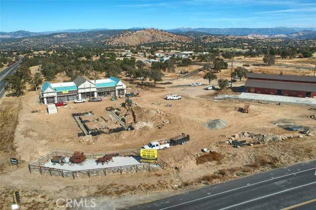 O'neals, CA 93645,0 Sunflower