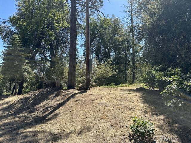 North Fork, CA 93643,0 Cascadel