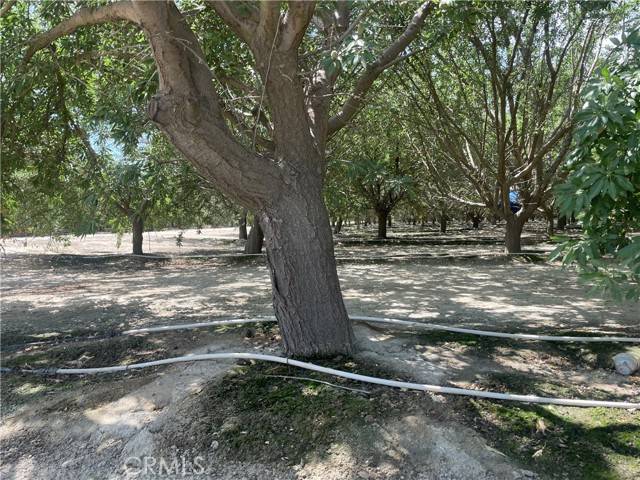 Kerman, CA 93630,1 S Butte
