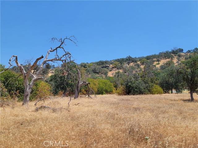 Squaw Valley, CA 93675,0 Clover