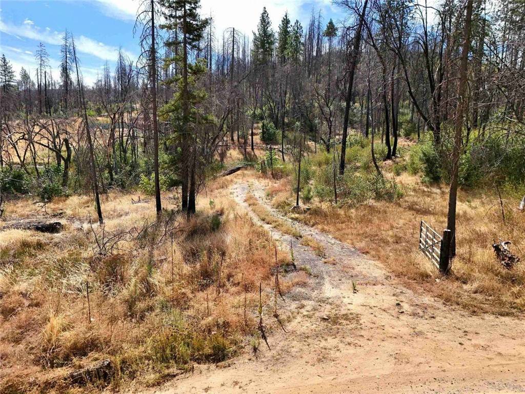 Berry Creek, CA 95916,33 Pine Tree