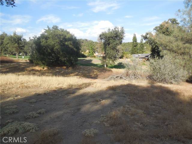 Oakhurst, CA 93644,1 Griffin