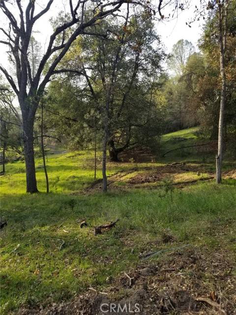 Oakhurst, CA 93644,1 Oak