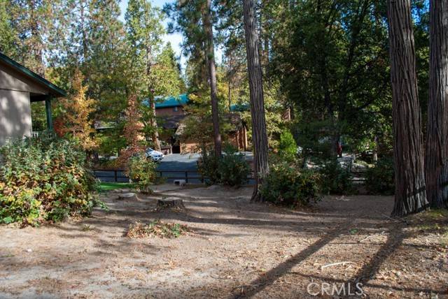 Bass Lake, CA 93604,54648 Willow Cove