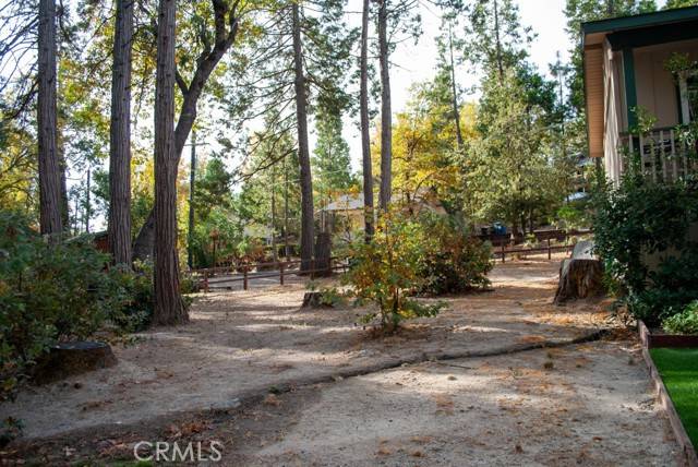 Bass Lake, CA 93604,54648 Willow Cove