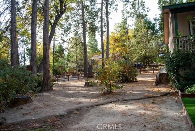 Bass Lake, CA 93604,54648 Willow Cove