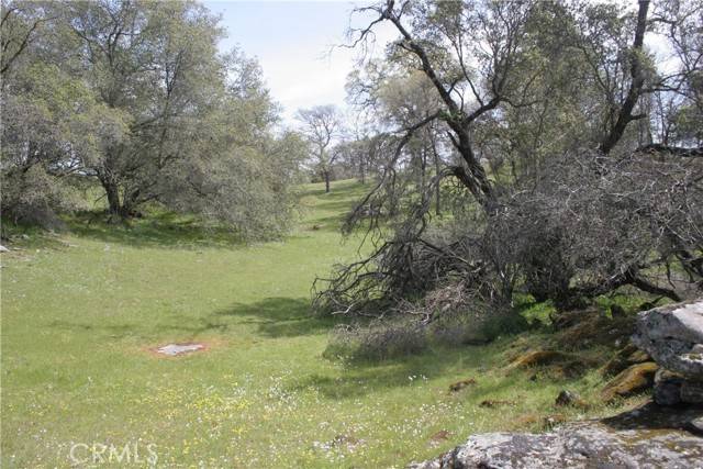 O'neals, CA 93645,0 39.21 AC Ward Mountain Dr.