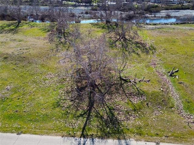 Sanger, CA 93657,3 Lots, Live Oak