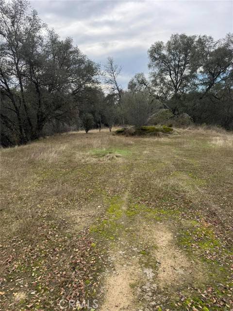 Mariposa, CA 95338,3270 Wildcat