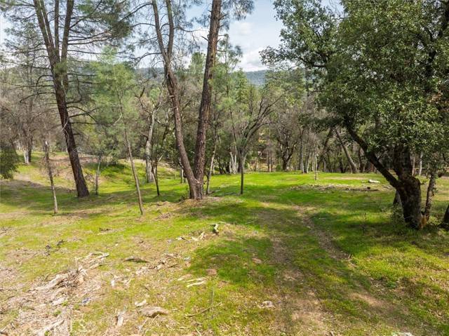 Oakhurst, CA 93644,0 Springwood
