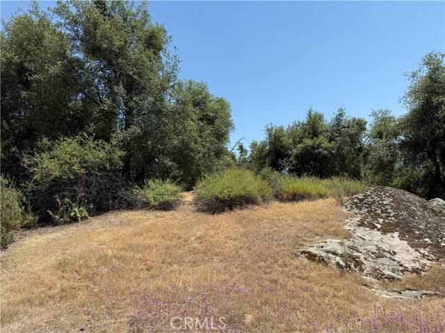 Oakhurst, CA 93644,7 River Falls