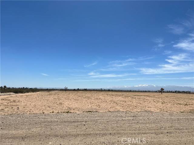 Adelanto, CA 92301,0 Verbena