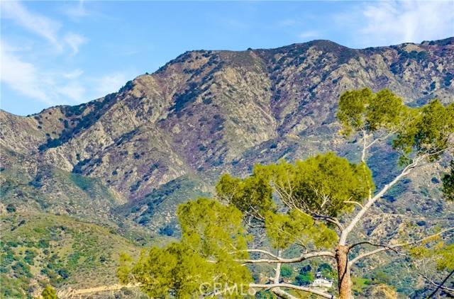 Sunland, CA 91040,7951 Glenties Lane
