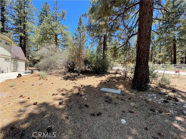 Big Bear City, CA 92314,0 Manzanita Lane