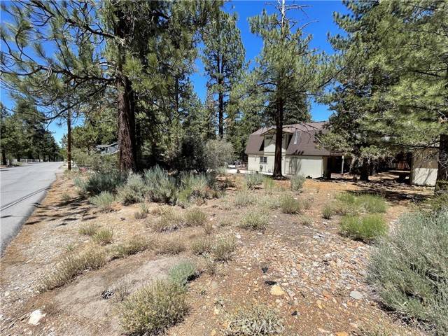 Big Bear City, CA 92314,0 Manzanita Lane