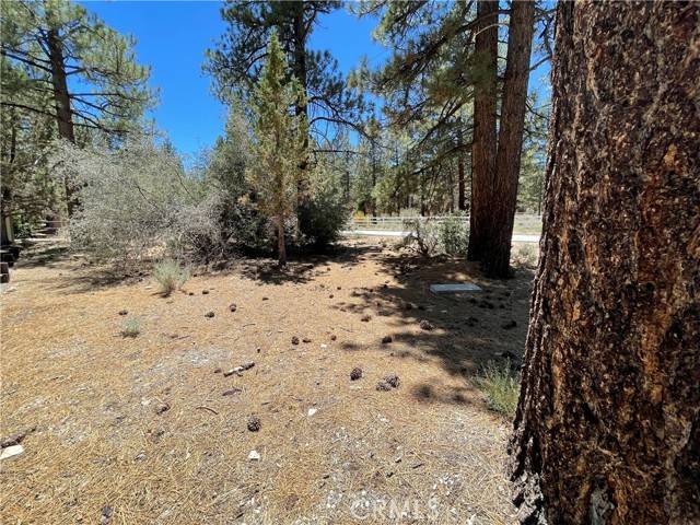 Big Bear City, CA 92314,0 Manzanita Lane