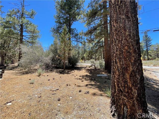 Big Bear City, CA 92314,0 Manzanita Lane