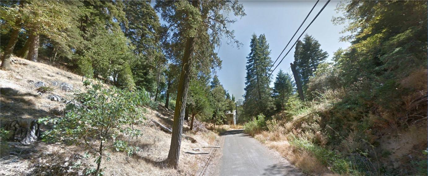 Cedarpines Park, CA 92322,0 Fir