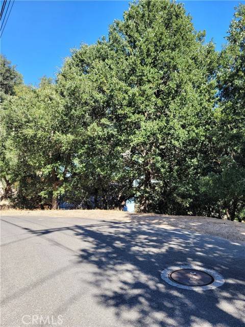 Crestline, CA 92325,0 Berne