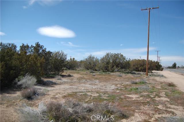 Hesperia, CA 92345,1 Ranchero