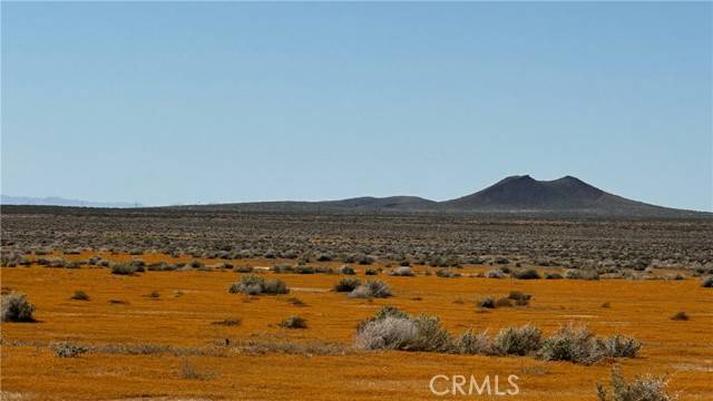Kramer Junction, CA 93516,5112 Hwy 395