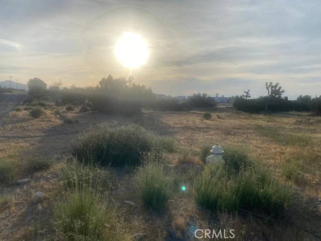 Pinon Hills, CA 92372,0 White Fox