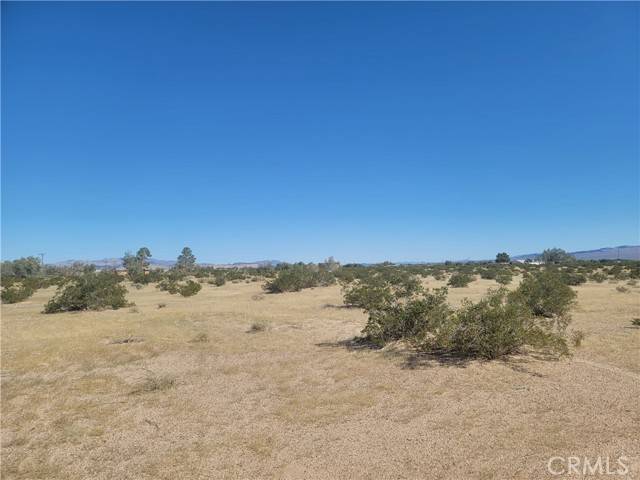 Newberry Springs, CA 92365,0 Cottonwood